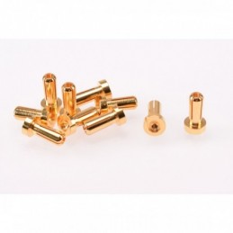 PK 4mm Gold Male 12mm